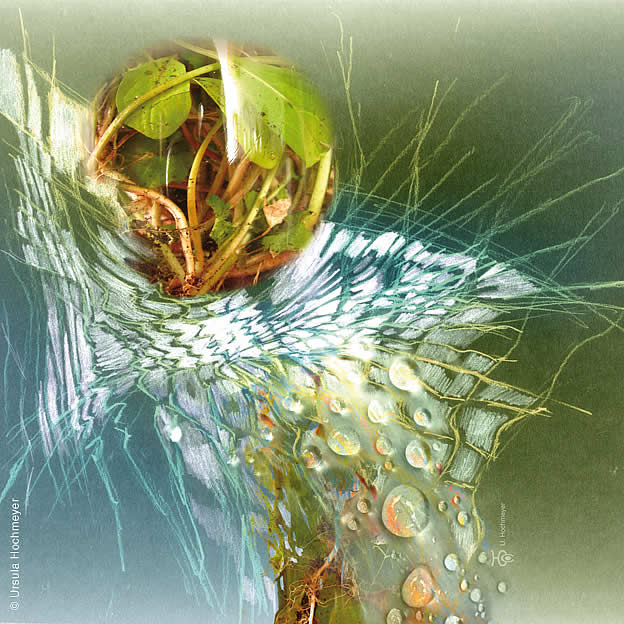 Biosphere